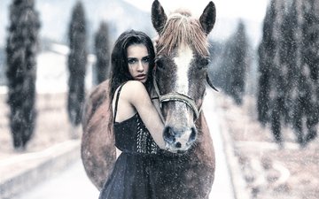лошадь, девушка, алессандро ди чикко