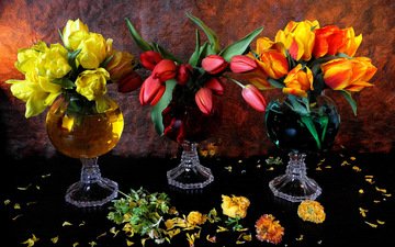 цветы, бутоны, листья, лепестки, тюльпаны, натюрморт, вазы