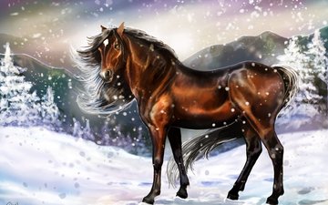 арт, лошадь, снег, зима, взгляд, холод, следы, животное, грива, живопись