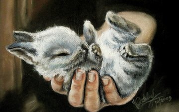 рука, маленький, человек, ушки, живопись, лапки, крольчонок