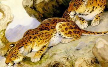 арт, хищники, леопарды, живопись, georges-frederic rotig