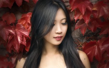 девушка, портрет, лето, взгляд, лицо, кленовый лист, азиатка, длинные волосы