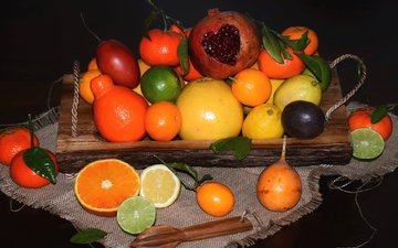 фрукты, лайм, мандарин, лимоны, цитрусы, гранат, грейпфрут, апельсиы