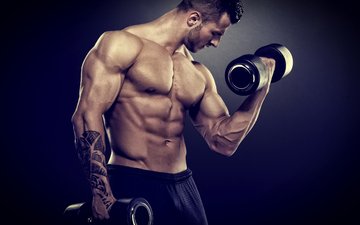 мужчина, мышцы, бодибилдер, мускул, weight training, barbell