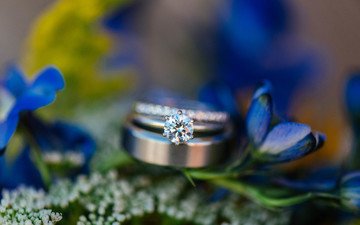 цветы, камень, кольцо, обручальное, синие лепестки