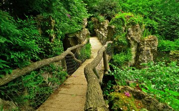 камни, зелень, листья, ветки, кусты, мост, сад, париж, пруд, франция, albert-kahn japanese gardens
