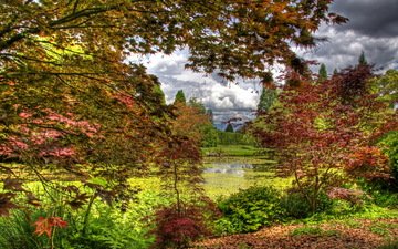 деревья, листья, кусты, осень, сад, ванкувер, пруд, канада, vandusen botanical garden
