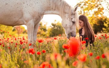 цветы, лошадь, природа, девушка, профиль, конь, длинные волосы, маковое поле