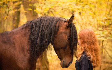 лошадь, девушка, настроение, осень, модель, лицо, конь, грива, длинные волосы, рыжеволосая