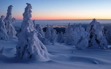 деревья, снег, зима, утро, рассвет, панорама, германия, сугробы, harz mountains, горы гарц, саксония-анхальт