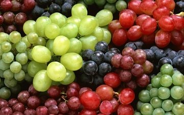 виноград, белый виноград, красный виноград, синий виноград