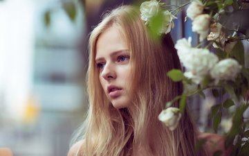 девушка, блондинка, портрет, розы, сад, волосы