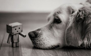 чёрно-белое, собака, печаль, друзья, данбо, картонный робот, робот бумага