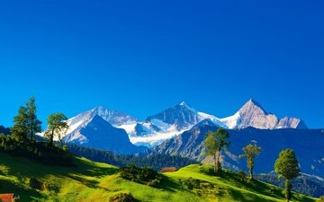 трава, деревья, горы, холмы, снег, швейцария, домик, альпы