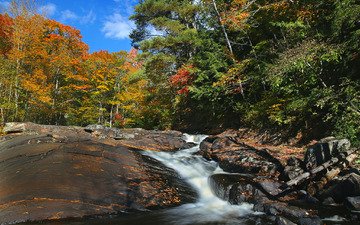 деревья, река, скалы, лес, осень, поток, канада, онтарио