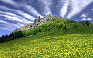 небо, цветы, трава, облака, скала, гора