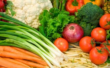 еда, лук, овощи, помидоры, морковь, перец, капуста, брокколи