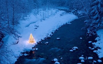 ночь, огни, река, снег, новый год, елка, лес, зима, праздник