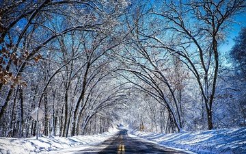 небо, дорога, деревья, снег, зима, туннель