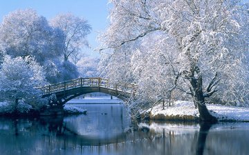 деревья, река, снег, зима, отражение, парк, мост, иней, германия, дельта