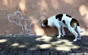 рисунок, ситуация, стена, собака