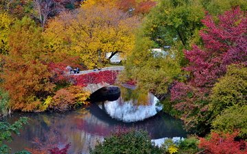 деревья, вода, отражение, парк, мост, осень