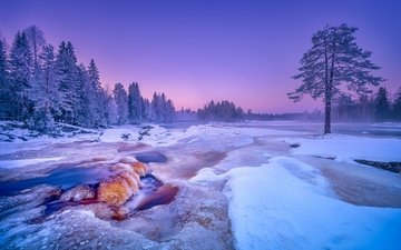 деревья, река, снег, лес, зима, финляндия, kiiminkijoki river, река кииминкийоки