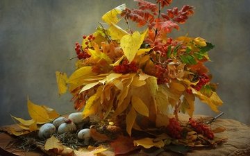 листья, осень, грибы, букет, ягоды, натюрморт, рябина, шампиньоны, осенние листья