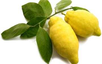 фрукты, желтые, лимоны, цитрусы