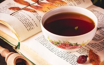 листья, настроение, напиток, чашка, чай, книга