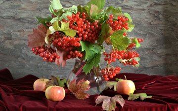 фрукты, яблоки, осень, ягоды, натюрморт, калина