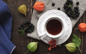 напиток, ягоды, чашка, чай, физалис, рябина, арония
