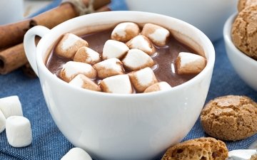 напиток, чашка, печенье, какао, горячий шоколад, маршмеллоу