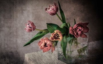 букет, тюльпаны, ваза, скатерть