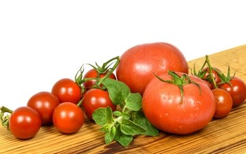 помидоры, томаты, базилик