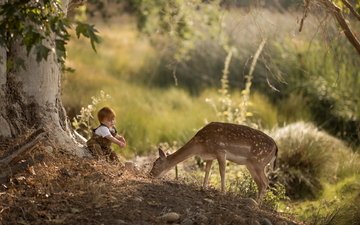 природа, лес, олень, настроение, парк, дети, ребенок, мальчик, малыш, доброта