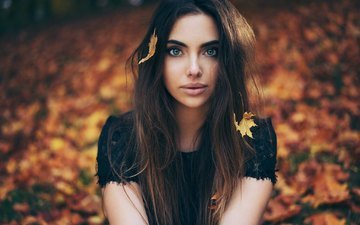 листья, девушка, портрет, брюнетка, взгляд, осень, модель, волосы, лицо, anastasia vervueren