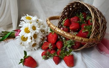 клубника, ромашки, корзина, ягоды