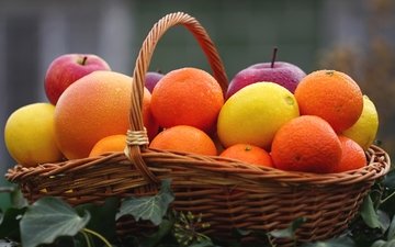 фрукты, лимон, корзина, апельсин, яблоко, мандарин, цитрусы, грейпфрут