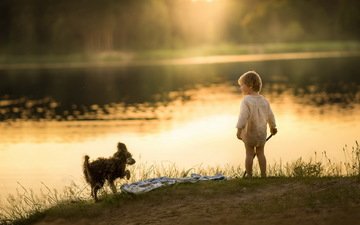 озеро, утро, собака, мальчик, берег реки