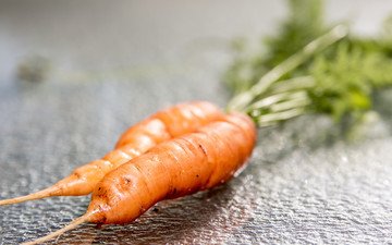 макро, овощи, морковь