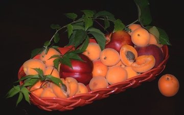 фрукты, абрикос, нектарин