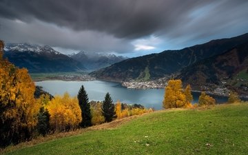 деревья, озеро, горы, панорама, осень, австрия, альпы, озеро целлер зее, целль-ам-зее