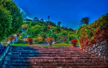 лестница, парк, обработка, испания, las palmas de gran canaria