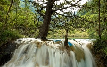 деревья, река, лес, водопад, китай, jiuzhaigou national park