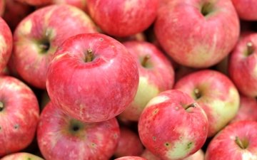 макро, фрукты, яблоки, плоды