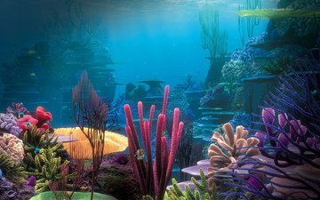 природа, дно, океан, кораллы, риф, подводный мир