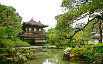 вода, зелень, парк, пагода, япония, сосны, пруд, серебряный павильон, гинкаку-дзи