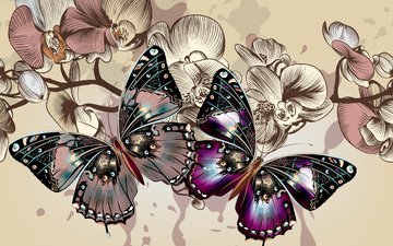цветы, цвета, фон, вектор, крылья, бабочки