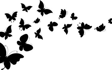 фон, крылья, белый, силуэты, бабочки